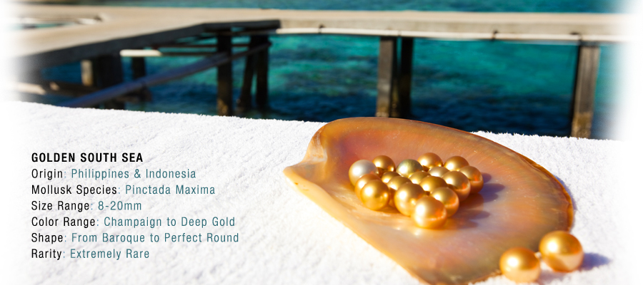Golden Southsea Pearls | Philippines Golden Pearls | Imperial Pearls